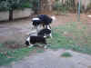 Novembre 03 in giardino.jpg (84043 byte)